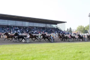 Hippodrome Lille : Croisé-Laroche horaires, prix et courses