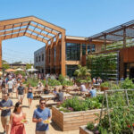 Halle gourmande en bois avec des jardins verticaux et des gens dégustant des plats en extérieur sous un ciel bleu.